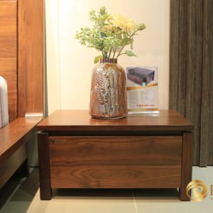 Táp đầu giường Aster