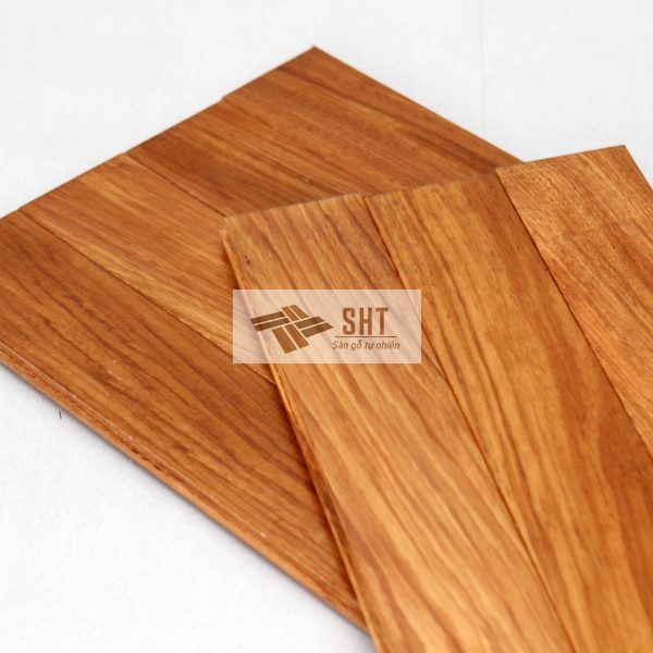 Sàn gỗ Gỗ đỏ Châu Phi (PHACHYLOBA)
