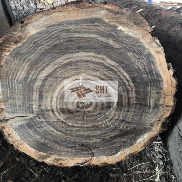 Gỗ Cẩm Lai nguyên liệu